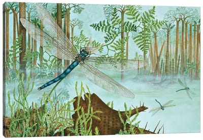 A Giant Dragonfly From The Upper Carboniferous Canvas Art Print - Natural History Museum, London