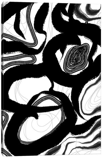 Fine Lines I Canvas Art Print - Black & White Patterns