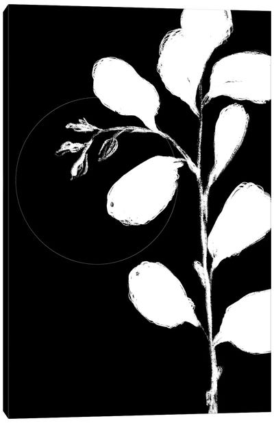 Botanical Silhoette II Canvas Art Print