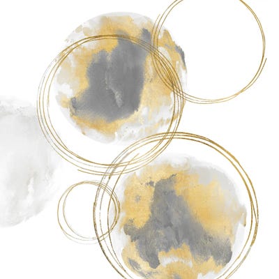 Circular Gray And Gold I by Natalie Harris canvas print