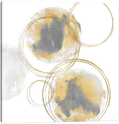 Circular Gray And Gold I Canvas Art Print
