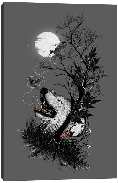 Hide Canvas Art Print - Wolf Art