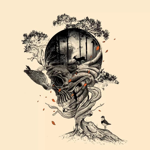 Skulls: Lost Translation by Nicebleed