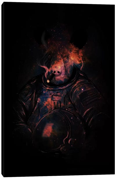 Mission Accomplished Canvas Art Print - Astronaut Art