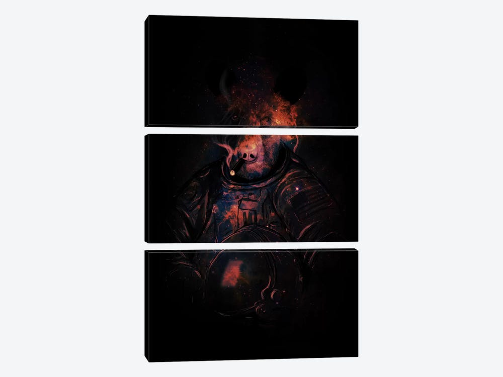 Mission Accomplished by Nicebleed 3-piece Canvas Print