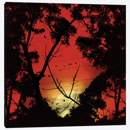 Before Sunset Canvas Print #NID165} by Nicebleed Canvas Art Print