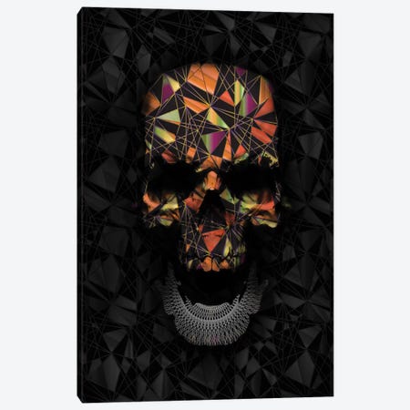 Colorful Geometric Skull Canvas Print #NID172} by Nicebleed Canvas Print