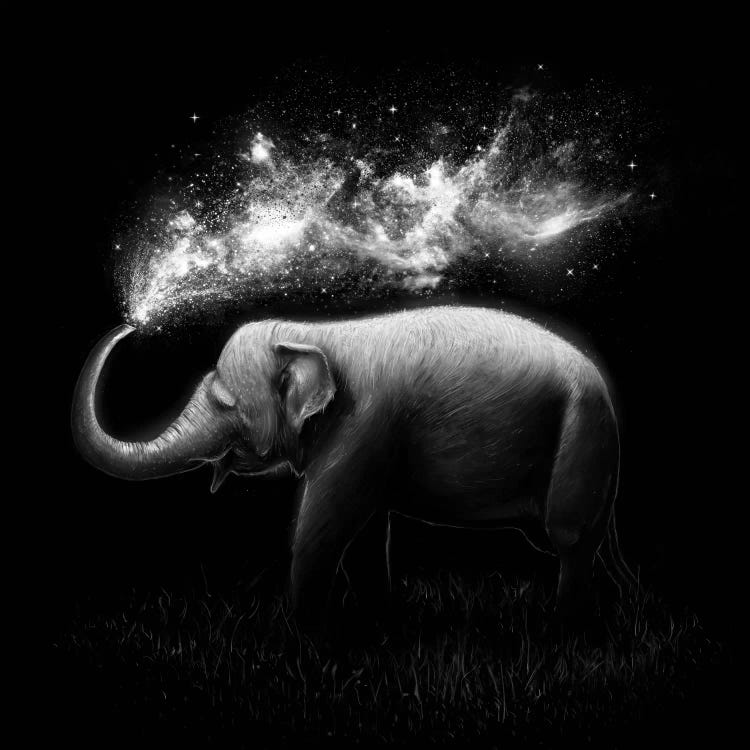 Elephant Splash in B&W