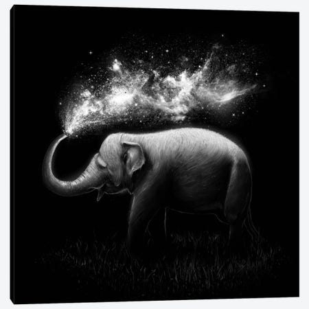 Elephant Splash in B&W Canvas Print #NID173} by Nicebleed Art Print
