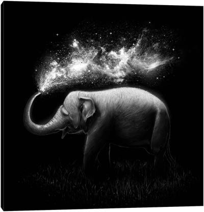 Elephant Splash in B&W Canvas Art Print - Nicebleed
