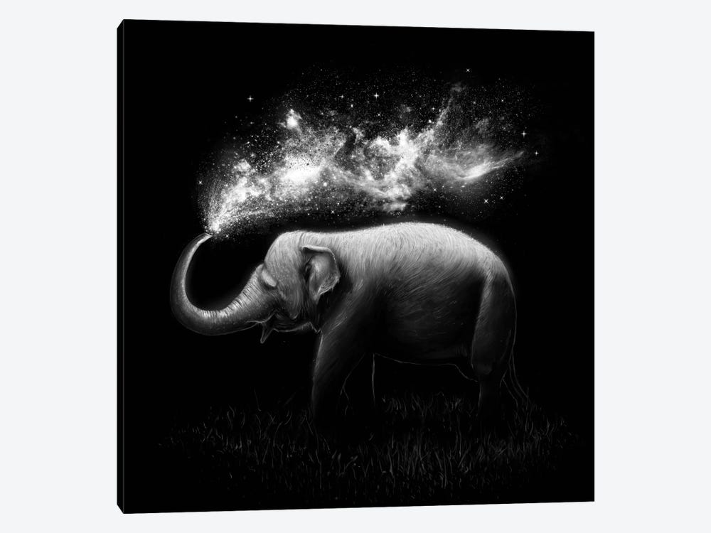 Elephant Splash in B&W by Nicebleed 1-piece Canvas Art Print