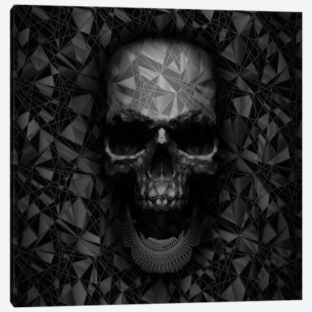 Geometric Skull Canvas Print #NID176} by Nicebleed Canvas Art