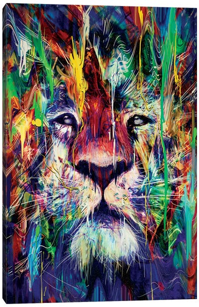 Lion I Canvas Art Print - Wild Cat Art