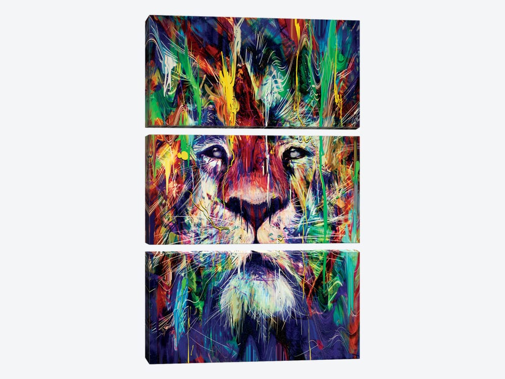 Lion I 3-piece Canvas Print