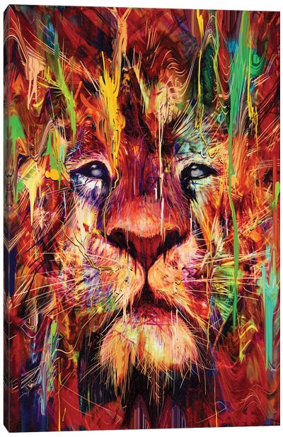 Lion Red Canvas Art Print - Wild Cat Art