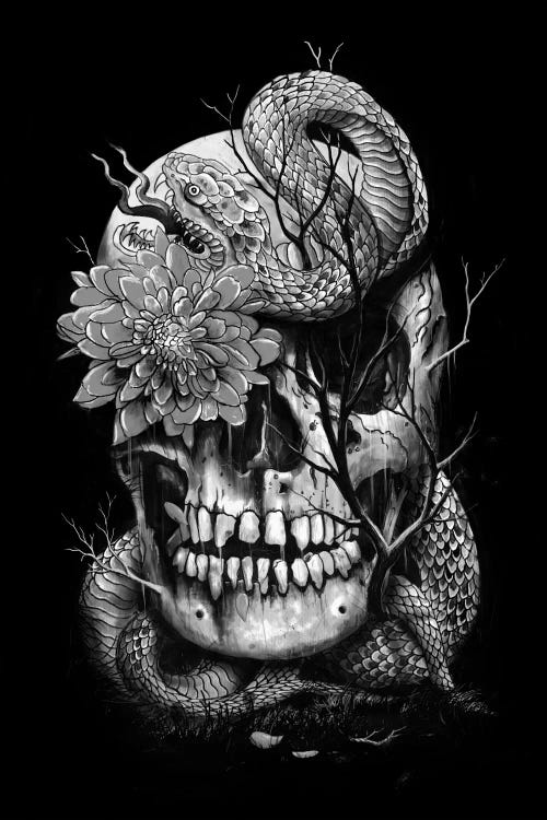 Snake And Skull In B&W