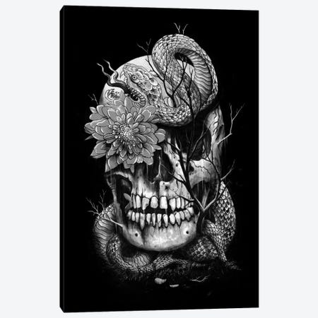 Snake And Skull In B&W Canvas Print #NID185} by Nicebleed Canvas Art Print