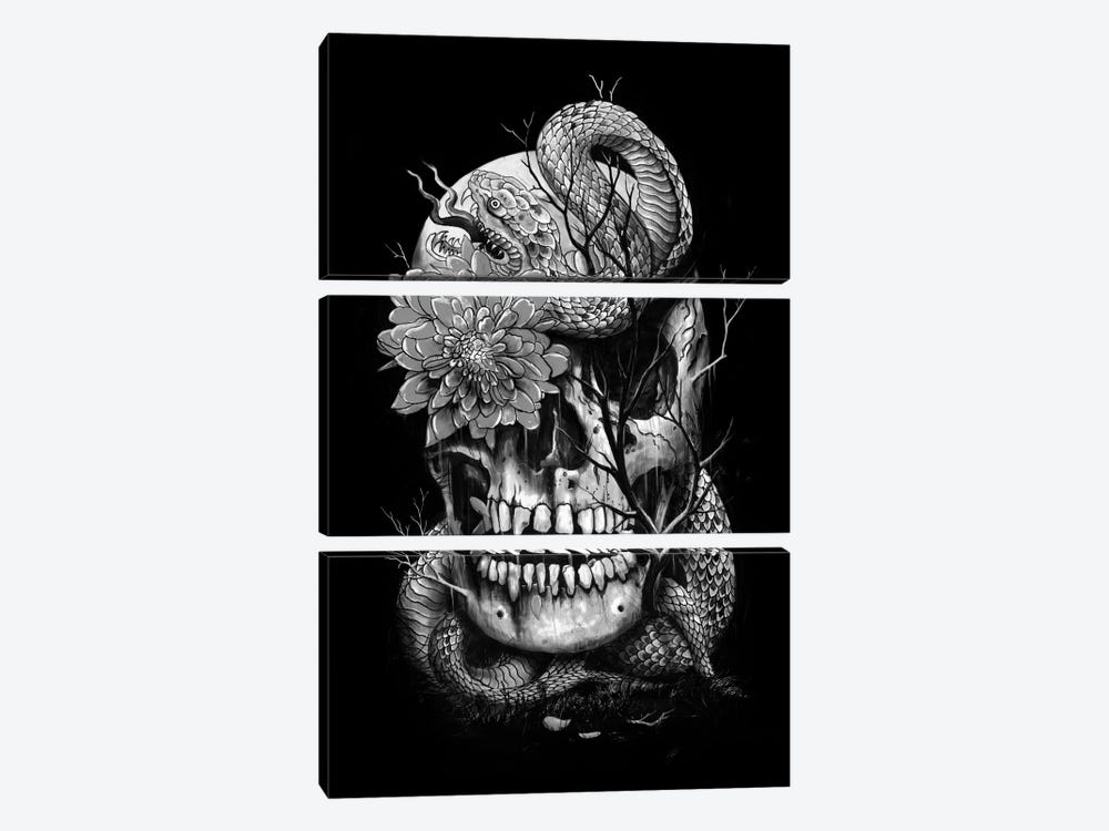 Snake And Skull In B&W by Nicebleed 3-piece Canvas Wall Art