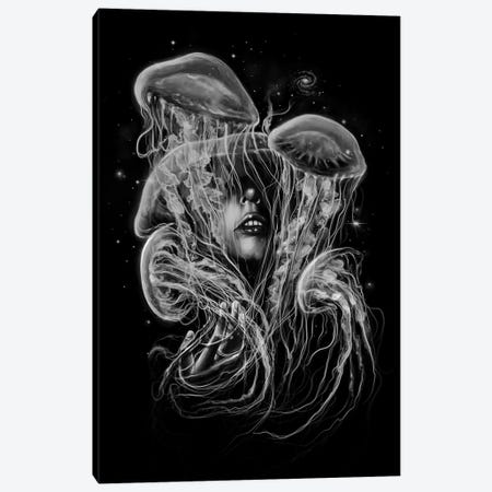 A Beautiful Delusion Canvas Print #NID192} by Nicebleed Canvas Print