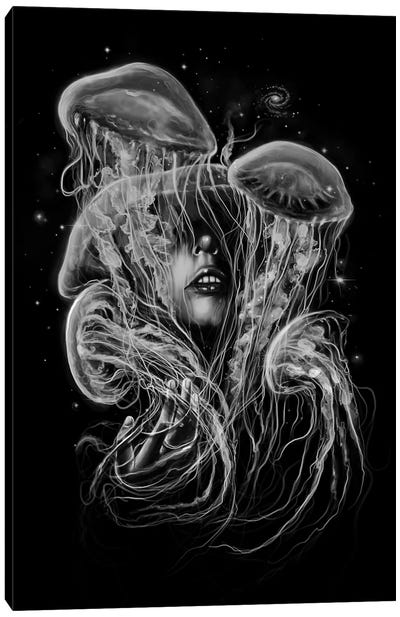 A Beautiful Delusion Canvas Art Print - Jellyfish Art