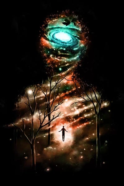 Transcend by Nicebleed framed canvas print