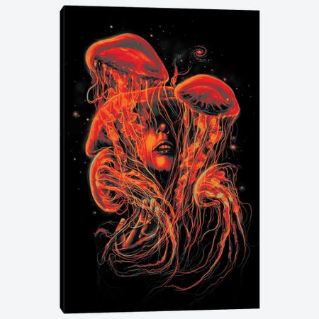 A Beautiful Delusion II Canvas Print #NID219} by Nicebleed Canvas Art