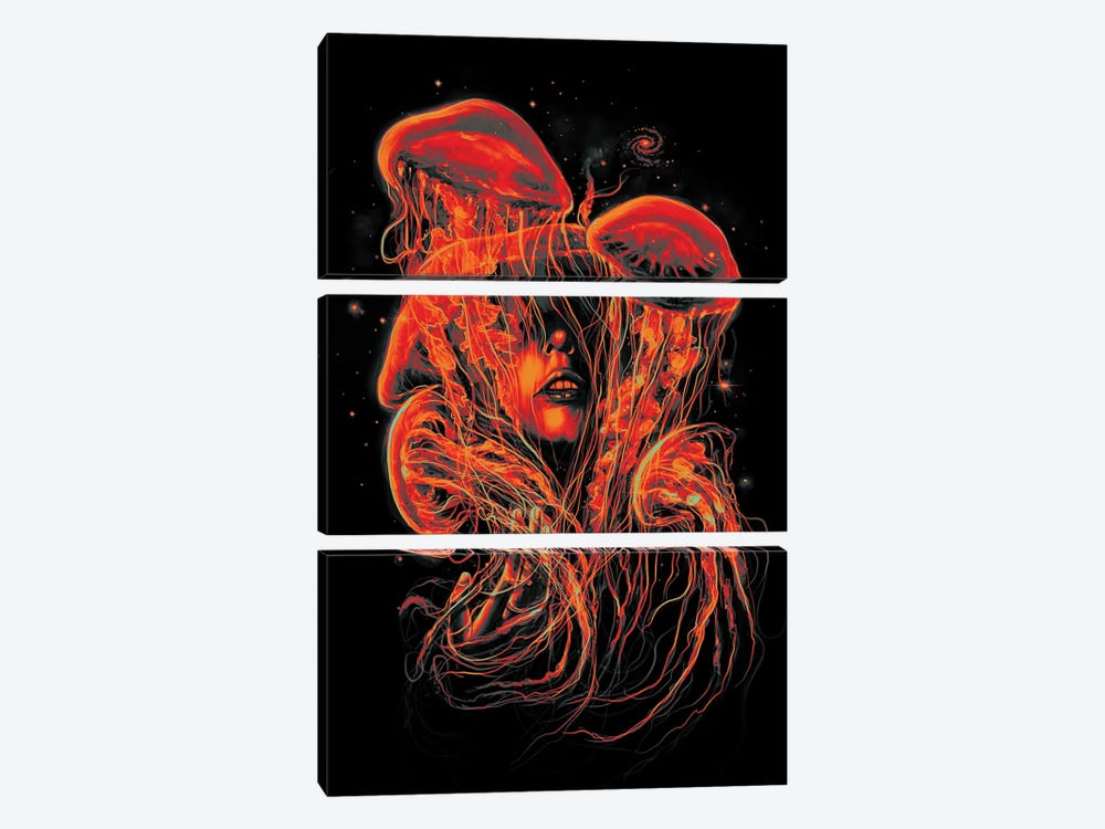 A Beautiful Delusion II by Nicebleed 3-piece Canvas Art Print