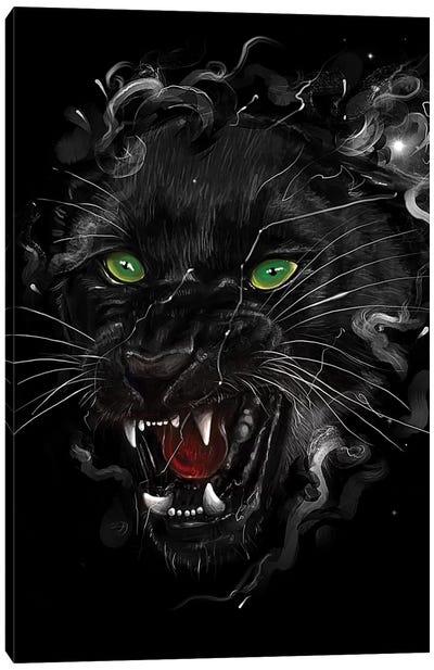 Black Panther Canvas Art Print - Nicebleed