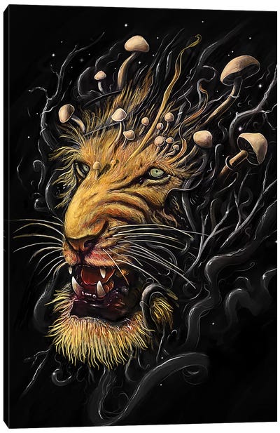 Lion II Canvas Art Print - Lion Art