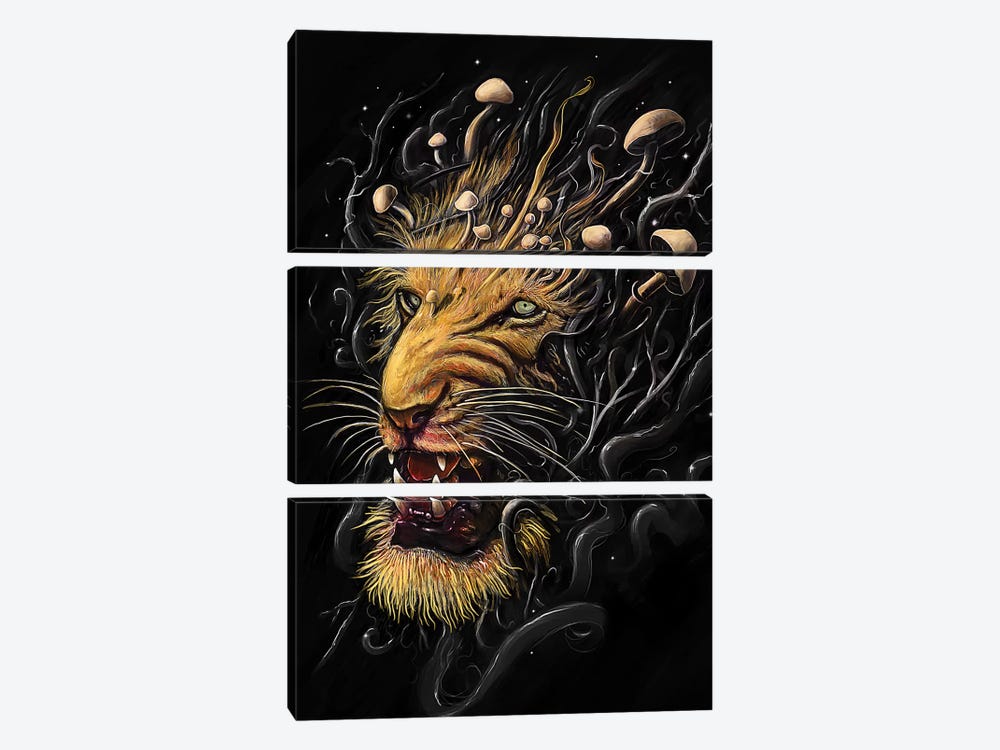 Lion II by Nicebleed 3-piece Canvas Print