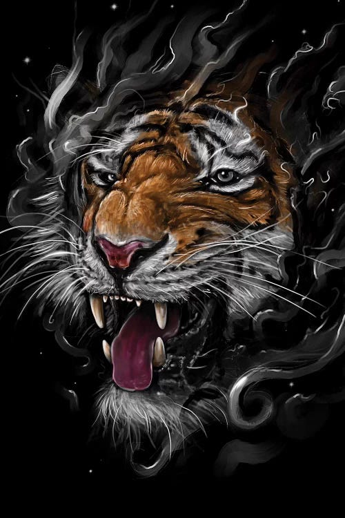 Tiger by Nicebleed wall art