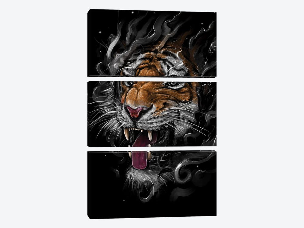 Tiger by Nicebleed 3-piece Canvas Art