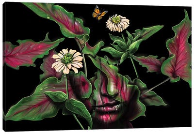 Felicity Canvas Art Print - Nature Renewal