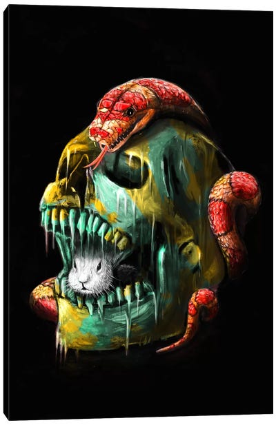 Fear And Desire Canvas Art Print - Snake Art