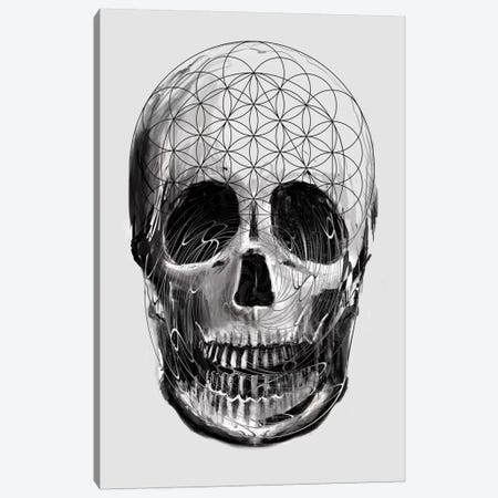 Sacred Skull Canvas Print #NID234} by Nicebleed Canvas Print