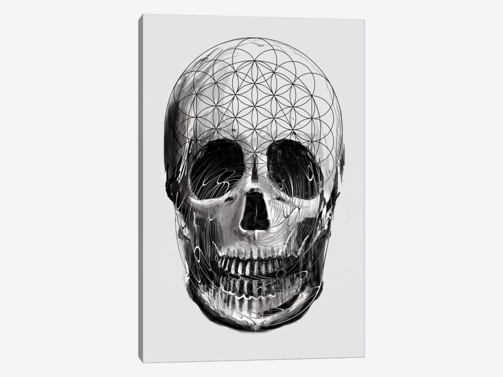 Sacred Skull by Nicebleed 1-piece Canvas Art