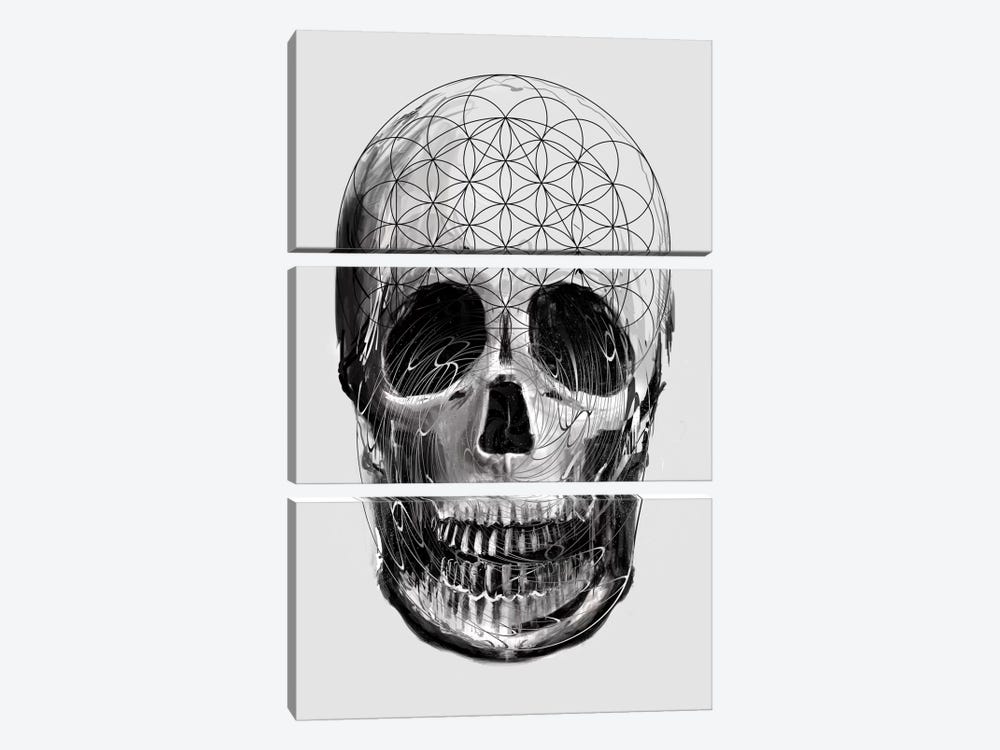 Sacred Skull by Nicebleed 3-piece Canvas Artwork