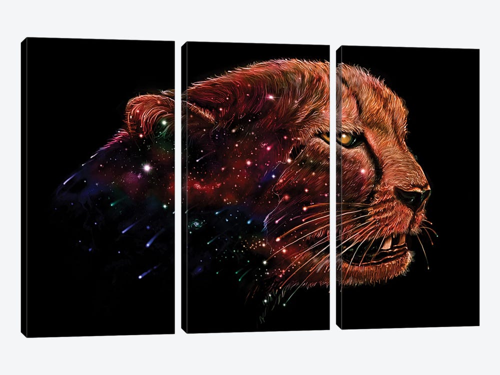 Space Cheetah by Nicebleed 3-piece Canvas Print