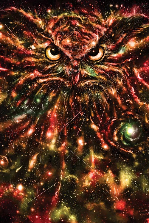 Space Owl by Nicebleed wall art