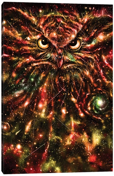 Space Owl Canvas Art Print - Nicebleed