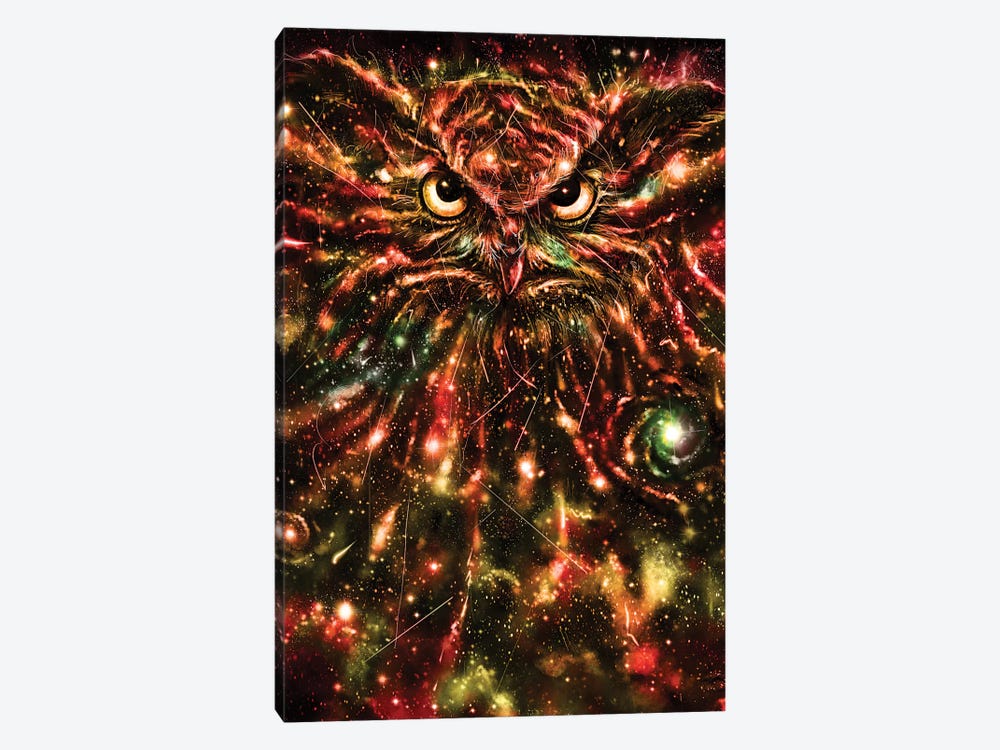 Space Owl by Nicebleed 1-piece Canvas Artwork
