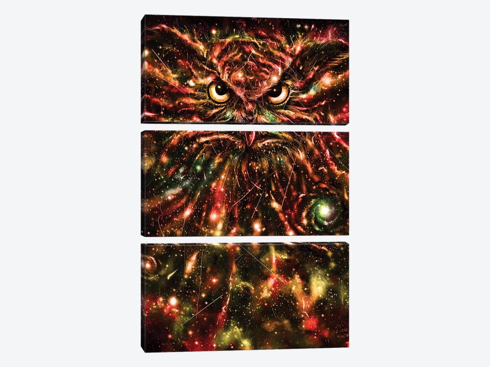 Space Owl by Nicebleed 3-piece Canvas Wall Art
