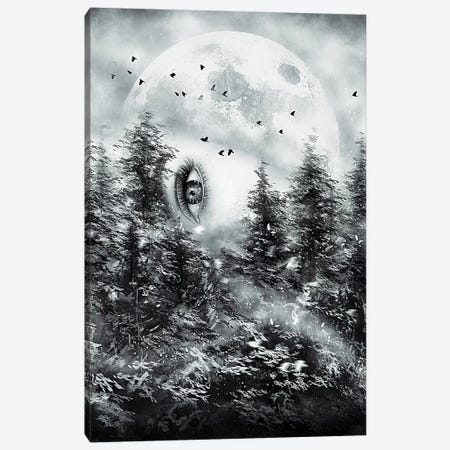The Watcher Canvas Print #NID238} by Nicebleed Canvas Art