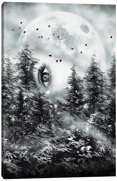 The Watcher Canvas Art Print - Dreamscape Art