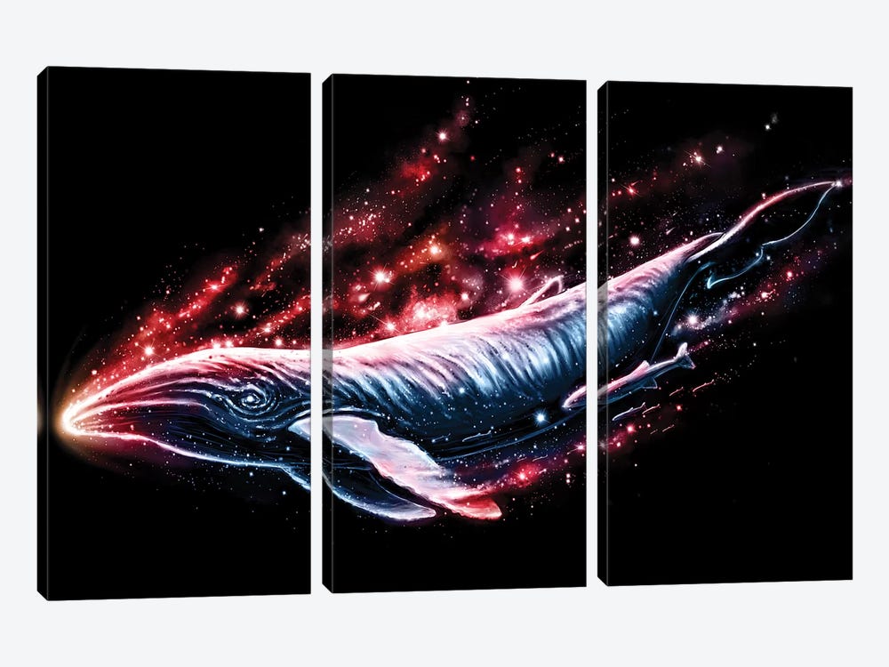 Voyager by Nicebleed 3-piece Canvas Print