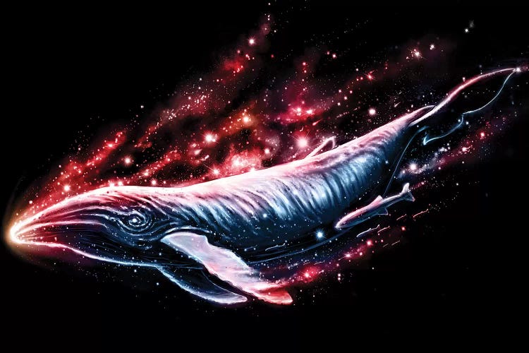 Voyager by Nicebleed wall art
