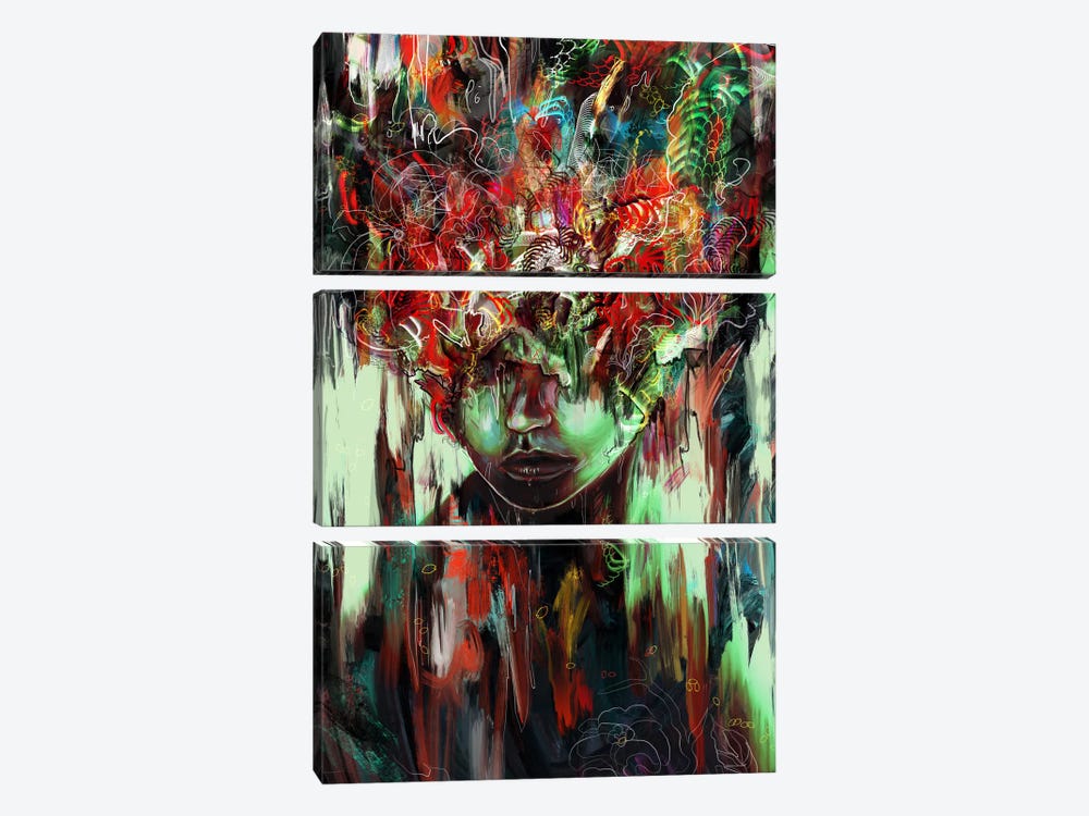 Chaotic Mind by Nicebleed 3-piece Canvas Artwork