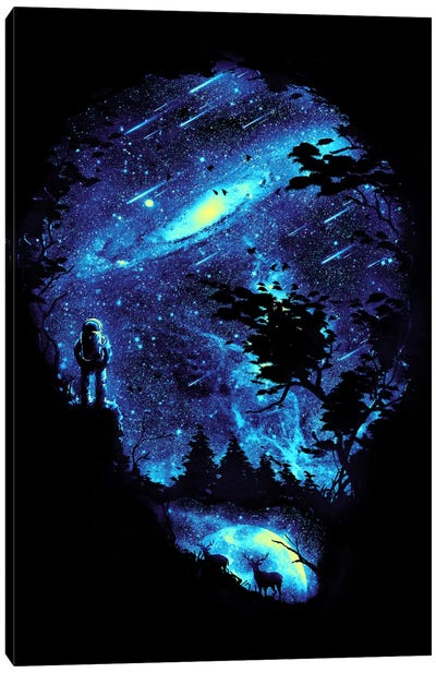 Cosmic Revelation Canvas Art Print - Nicebleed