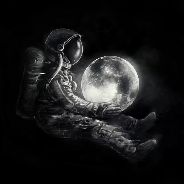 MoonPlay by Nicebleed wall art