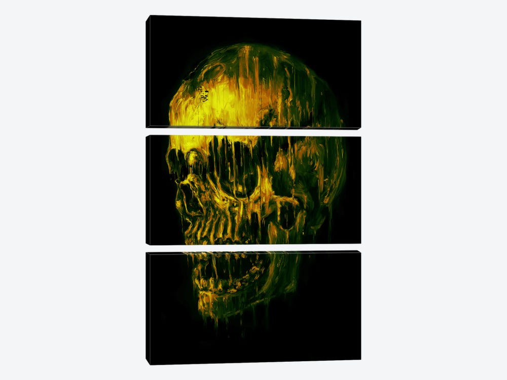 Skull Melt Green by Nicebleed 3-piece Canvas Artwork